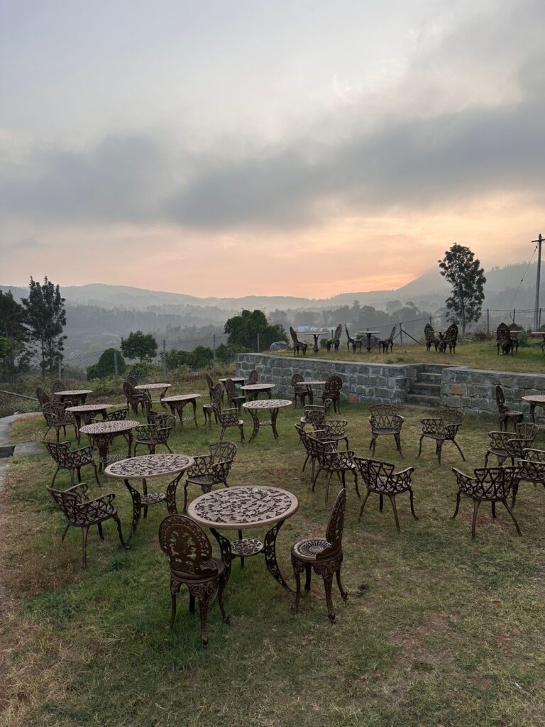 The View
